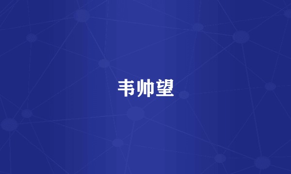 韦帅望