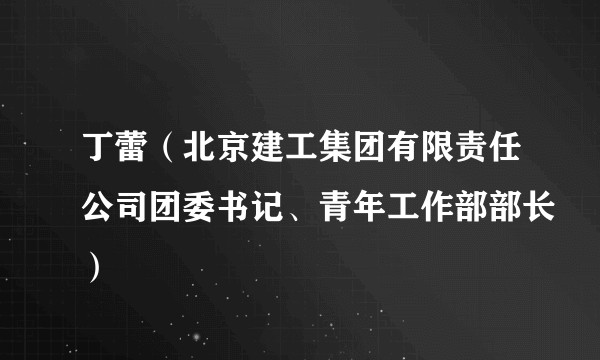 丁蕾（北京建工集团有限责任公司团委书记、青年工作部部长）