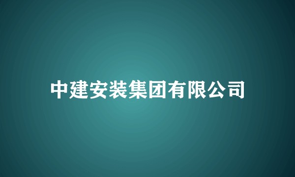 中建安装集团有限公司