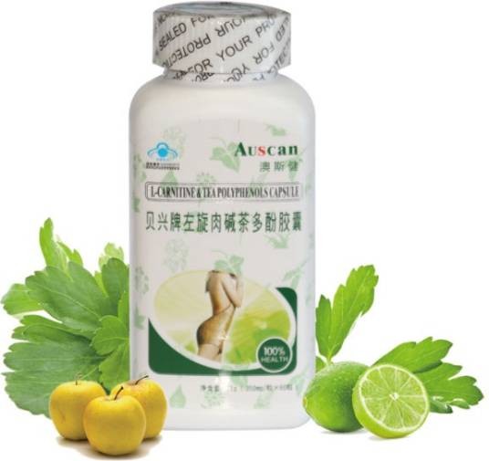 左旋肉碱茶多酚