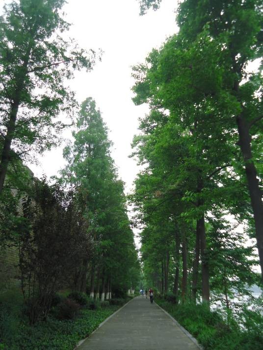 郁郁葱葱（汉语成语，形容草木苍翠茂盛）
