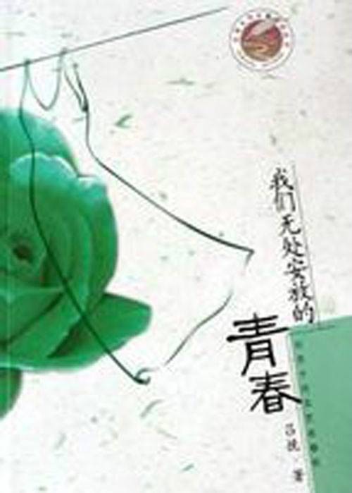 我们无处安放的青春(2005年北京十月文艺出版社出版的图书)