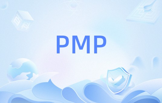 PMP(其他含义)