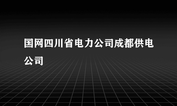 国网四川省电力公司成都供电公司