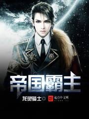 帝国霸主(龙灵骑士创作的网络小说)