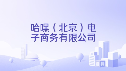 哈嘿（北京）电子商务有限公司