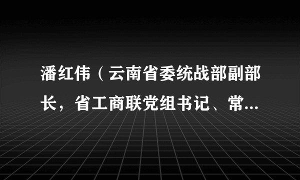 潘红伟(云南省委统战部副部长,省工商联党组书记、常务副主席,省总商会副会长)
