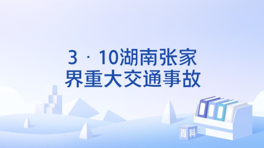 3·10湖南张家界重大交通事故