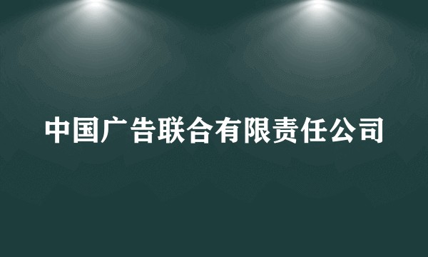 中国广告联合有限责任公司