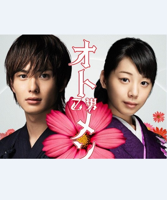 粉红系男孩(日本2009年谷村政树导演电视剧)