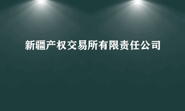 新疆产权交易所有限责任公司