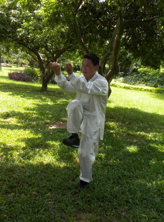 通背拳（中国传统武术拳种）