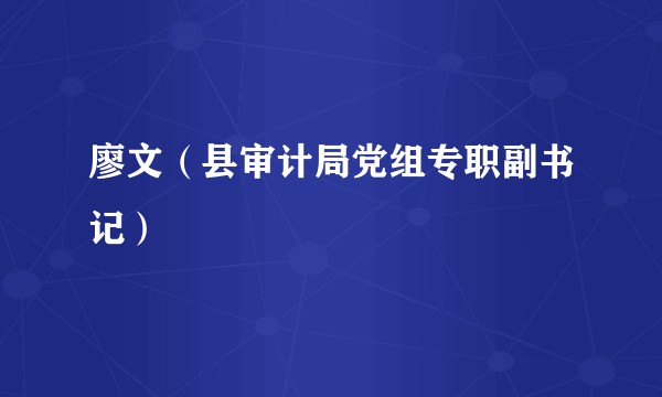 廖文（县审计局党组专职副书记）