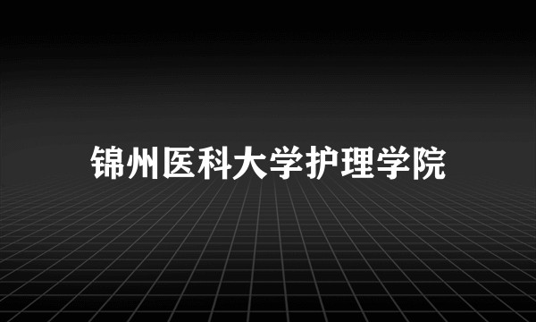 锦州医科大学护理学院