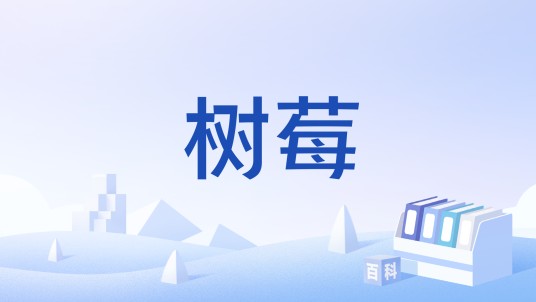 树莓(中国国家标准(GB/T 27657-2011))