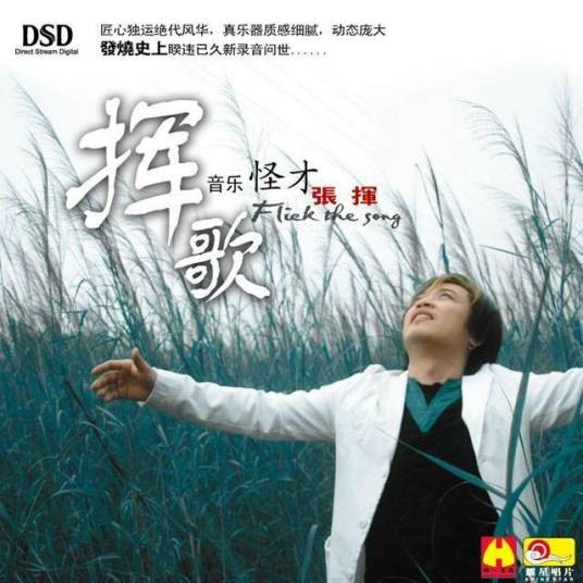 爱情多瑙河(2005年中国歌手张挥演唱的歌曲)