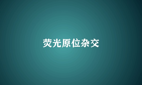 荧光原位杂交