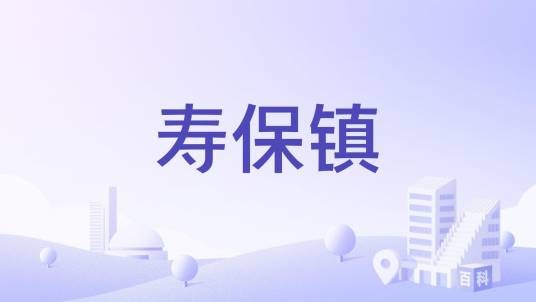 寿保镇
