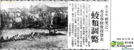 营川坠龙事件