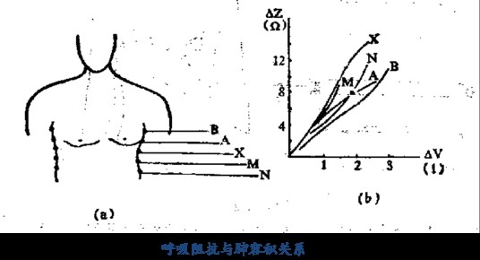 呼吸频率