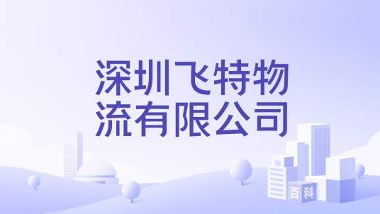 深圳飞特物流有限公司