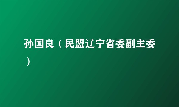 孙国良（民盟辽宁省委副主委）