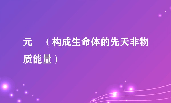 元炁(构成生命体的先天非物质能量)