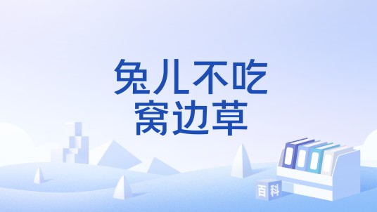 兔儿不吃窝边草