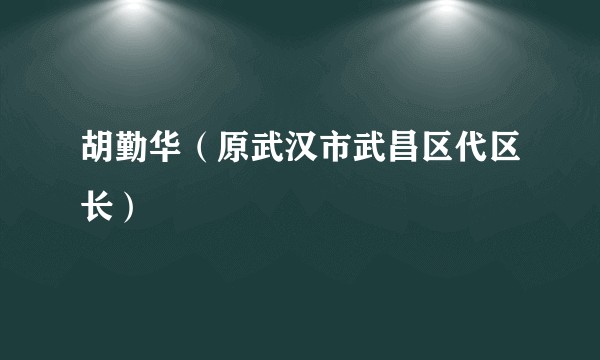 胡勤华（原武汉市武昌区代区长）
