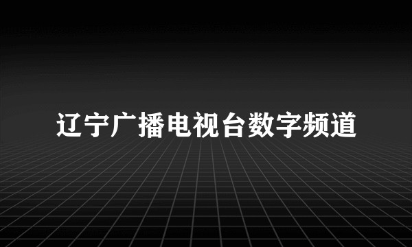 辽宁广播电视台数字频道