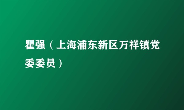 瞿强（上海浦东新区万祥镇党委委员）