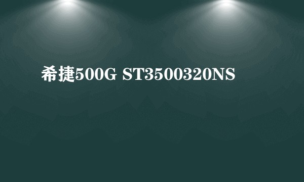 希捷500G ST3500320NS