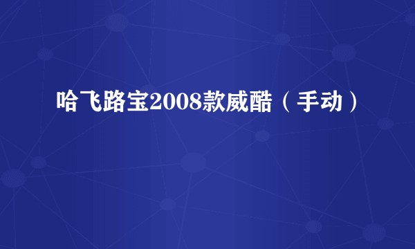 哈飞路宝2008款威酷(手动)