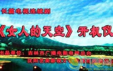 女人的天空（2016年张新建执导的农村题材电视剧）