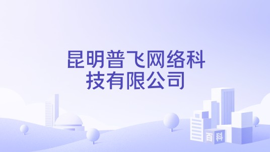 昆明普飞网络科技有限公司