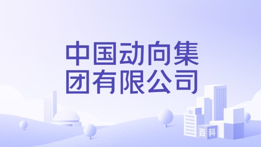 中国动向集团有限公司