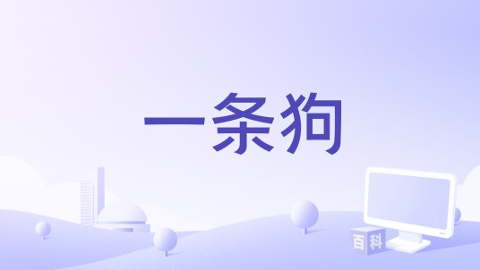一条狗（王赛编剧的青春励志电影）