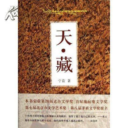 天·藏（2010年北京十月文艺出版社出版的图书）