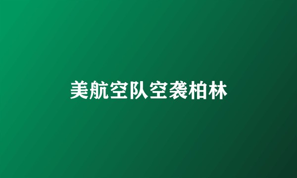 美航空队空袭柏林