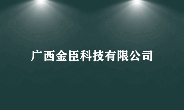 广西金臣科技有限公司