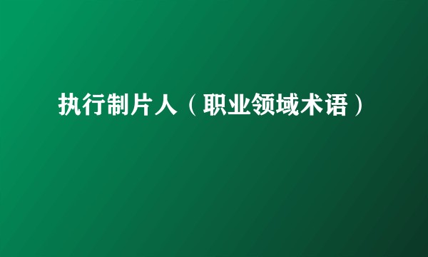 执行制片人（职业领域术语）