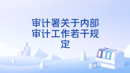 审计署关于内部审计工作若干规定
