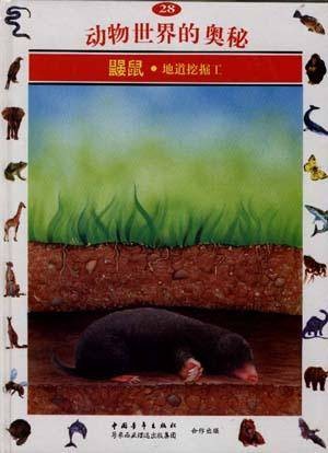 鼹鼠--地道挖掘工(28)
