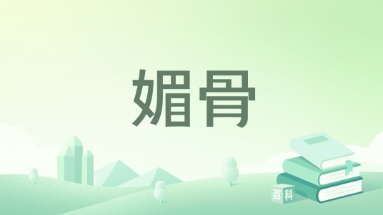 媚骨（天下有春创作的网络小说）