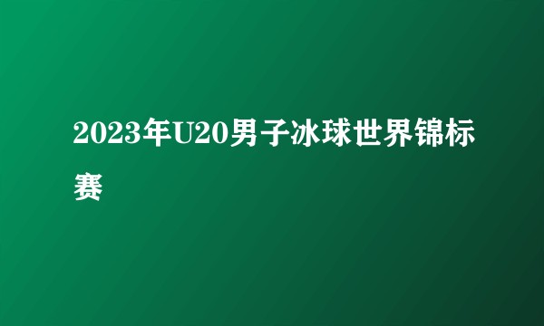 2023年U20男子冰球世界锦标赛
