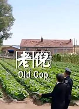 老倪（肖莫庸编剧的电影）