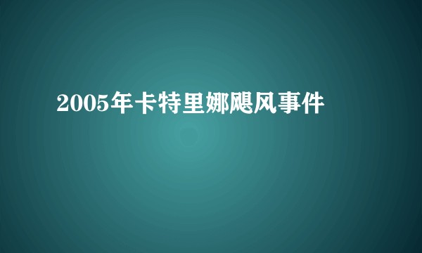 2005年卡特里娜飓风事件