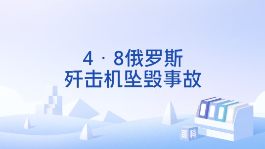 4·8俄罗斯歼击机坠毁事故
