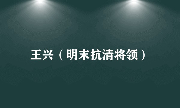 王兴（明末抗清将领）