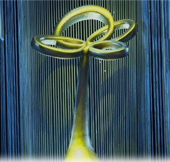 上海电视节